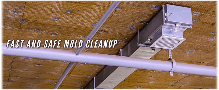 Air Duct Mold Removal in Fort Lauderdale